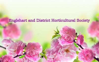 horticultura society flowerg graphic