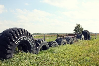 grassy field with large tires halfway buried
